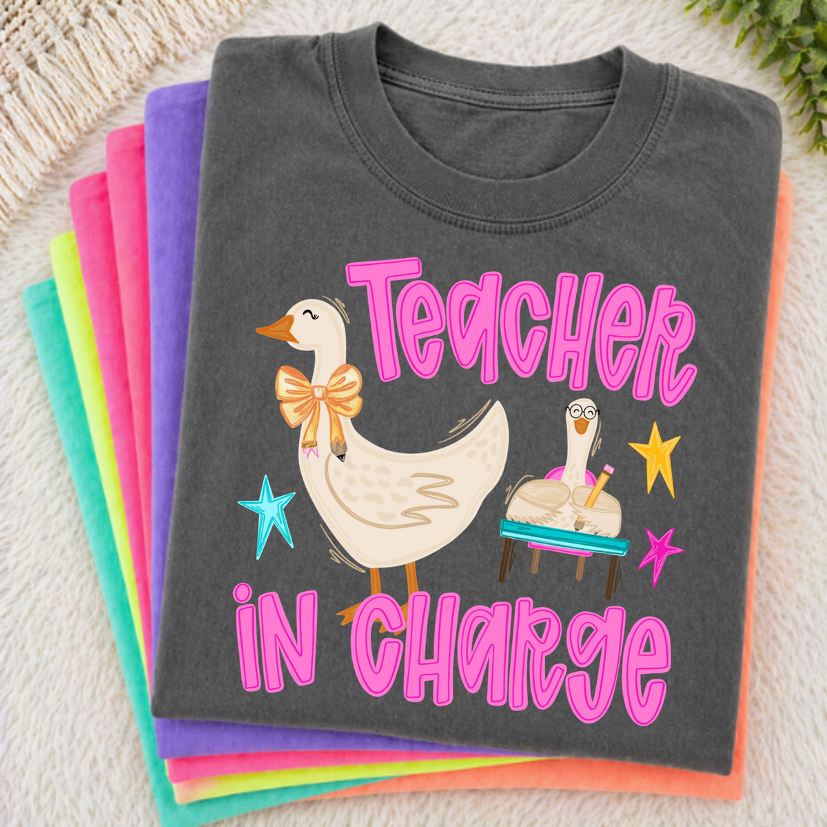 Goose in Charge: Teacher